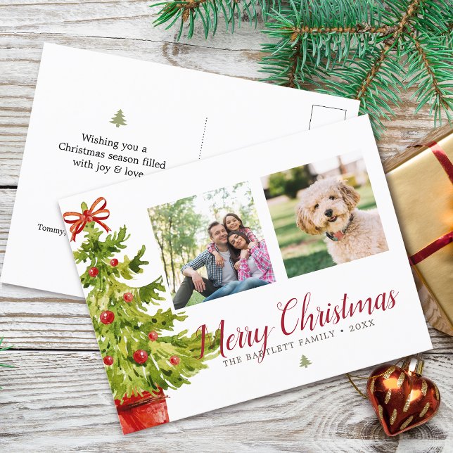 Cartão Postal De Festividades Árvore Natal Clássica da Aquarela Árvore 2 Fotos (Classic Watercolor Christmas Tree 2 Photos Holiday Postcard)