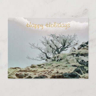 CARTÃO POSTAL DE FESTIVIDADES ÁRVORES