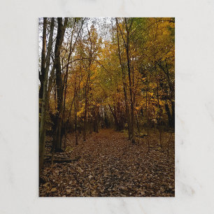Cartão Postal De Festividades Árvores de Outono ao Pôr do Sol Taylor Michigan Ca
