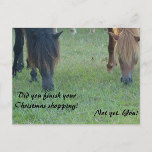 Cartão Postal De Festividades Assateague ponies Christmas cards and stamps