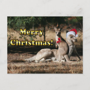 Cartão Postal De Festividades Aussie Style Christmas Kangaroos