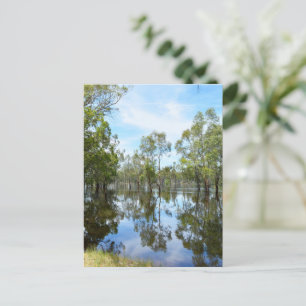 Cartão Postal De Festividades Austrália The River Murray,