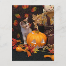 Cartão Postal De Festividades Autumn Kitten - Cartão de Gato Halloween