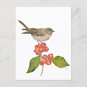 Cartão Postal De Festividades Aves aquáticas "Sylvia curruca"