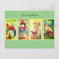 Aves da Nova Zelândia Vintage Lyrebird Junglefowl