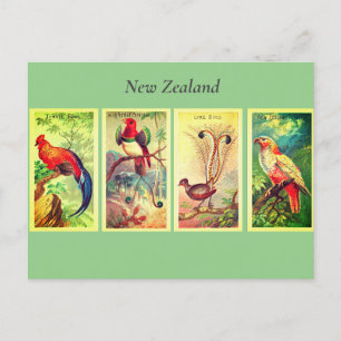 Cartão Postal De Festividades Aves da Nova Zelândia Vintage Lyrebird Junglefowl