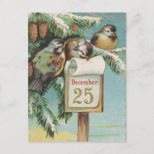 Cartão Postal De Festividades Aves na 25 de dezembro