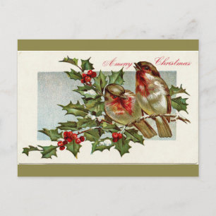 Cartão Postal De Festividades Aves Vintage e Natal Verde Holly