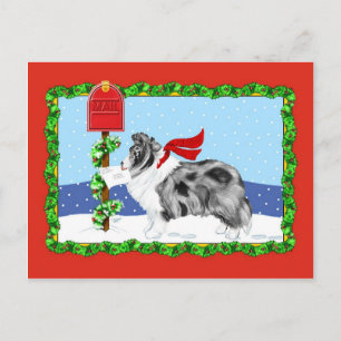Cartão Postal De Festividades Azul do Bi do correio do Natal de Sheltie