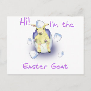 Cartão Postal De Festividades Baby Easter Goat