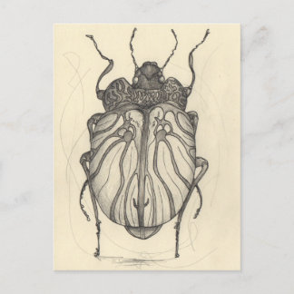 Cartão Postal De Festividades Balé do besouro