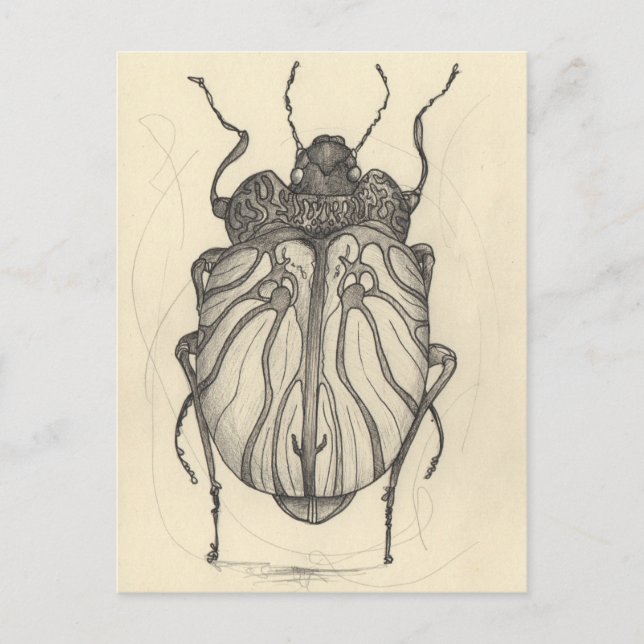 Cartão Postal De Festividades Balé do besouro (Frente)