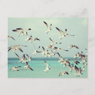 Cartão Postal De Festividades Bando de gaivotas voando acima do oceano.