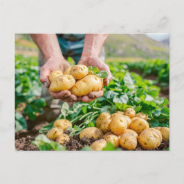 Cartão Postal De Festividades Batatas frescas de bebês no jardim
