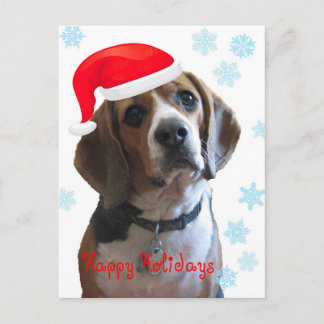 Cartão Postal De Festividades Beagle de Feriados Felizes