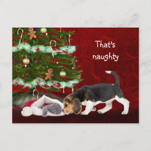 Cartão Postal De Festividades Beagle e gatinho de Natal