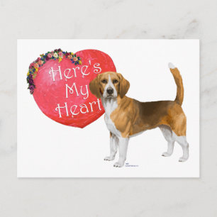 Cartão Postal De Festividades Beagle no Dia dos Namorados