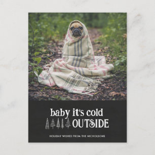 Cartão Postal De Festividades Bebê É Frio Fora Do Feriado De Pet Fresado Fresco