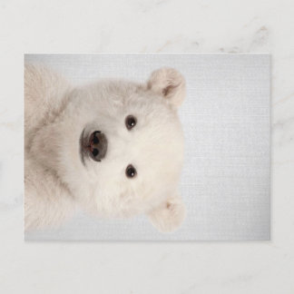 Cartão Postal De Festividades Bebê Polar Bear Colorida