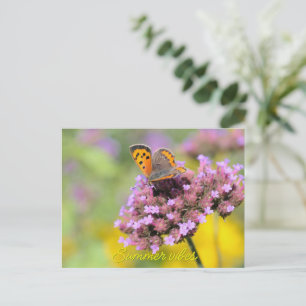 Cartão Postal De Festividades Bela borboleta em flores