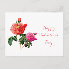 Cartão Postal De Festividades belas flores de rosa, vermelhas e cor-de-rosa