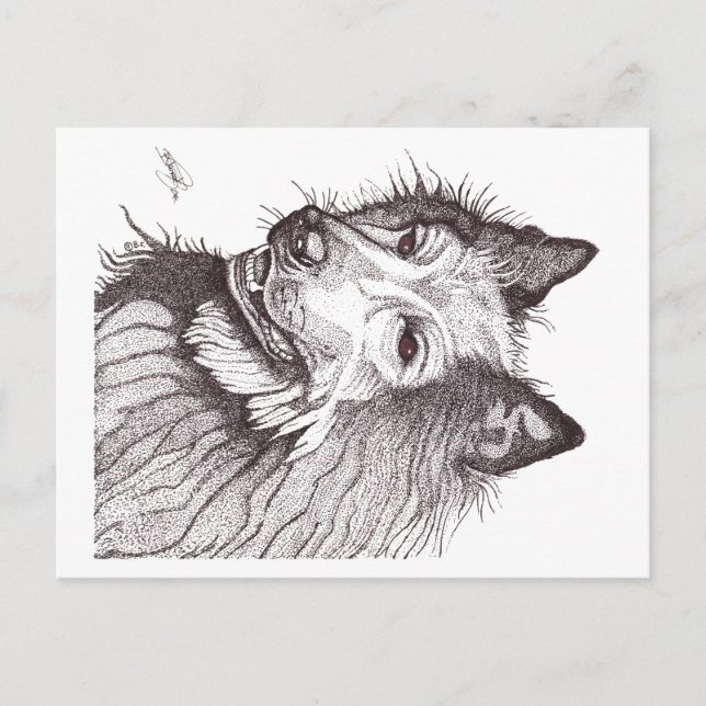 CARTÃO POSTAL DE FESTIVIDADES BELGIAN SHEPHERD GROENENDAEL (Frente)