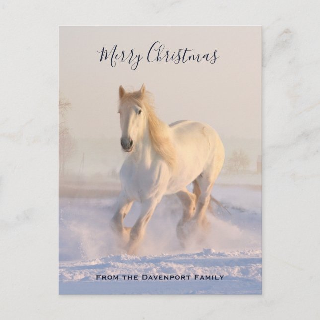 Cartão Postal De Festividades Belo Cavalo Branco no Natal da Neve (Frente)
