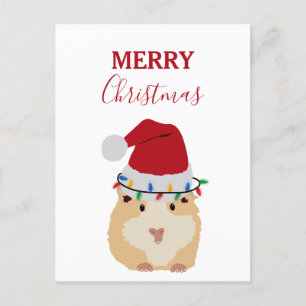 Cartão Postal De Festividades Belo Natal Hamster Engraçado Animal Santa Hat