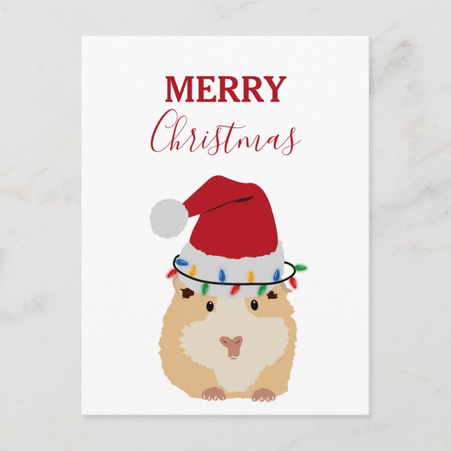 Cartão Postal De Festividades Belo Natal Hamster Engraçado Animal Santa Hat (Frente)