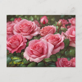 Cartão Postal De Festividades Belos Rosas do Cartão-postal da Bulgária