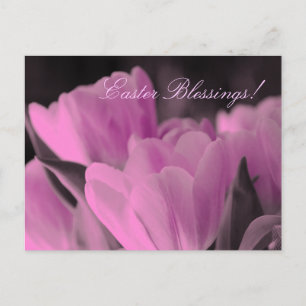 Cartão Postal De Festividades Bênçãos de páscoa