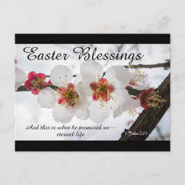 Cartão Postal De Festividades Bênçãos de páscoa 1 John 2:25 Verso de Bíblia