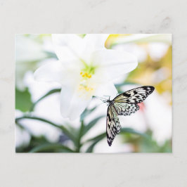 Cartão Postal De Festividades Bênçãos de páscoa 1 John 2:25 Verso de Bíblia