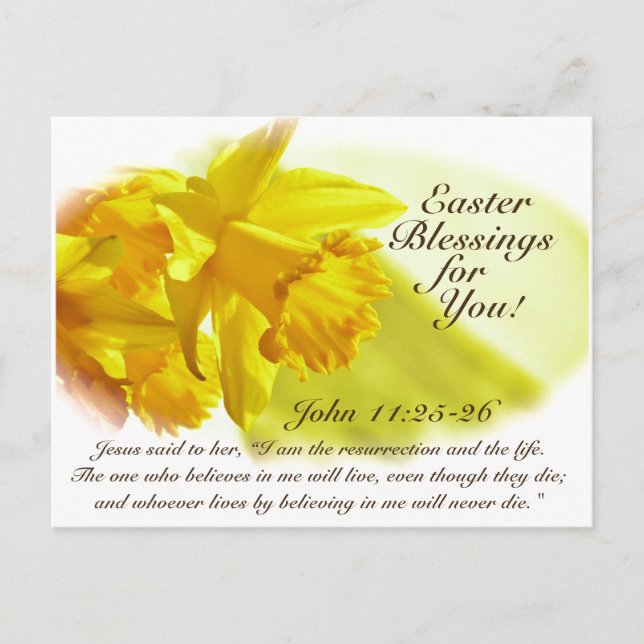 Cartão Postal De Festividades Bênçãos páscoas, John 11:25-26, Daffodils (Frente)