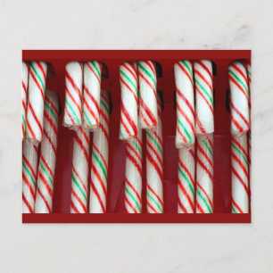 Cartão Postal De Festividades Bengalas de Natal festivas