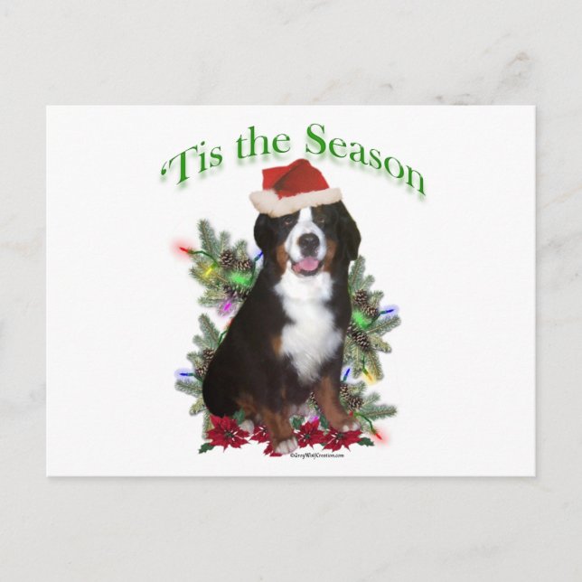 Cartão Postal De Festividades Bernese Mountain Dog "Tis (Frente)