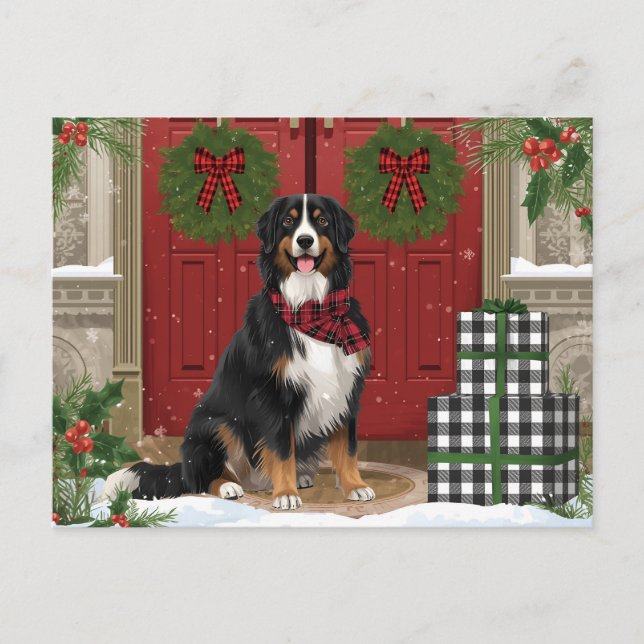 Cartão Postal De Festividades Bernese Mountain Dog Xadrez Natal (Frente)