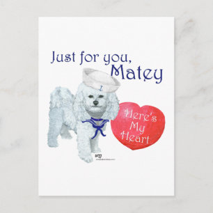 Cartão Postal De Festividades Bichon Frise Marinheiro do Dia dos Namorados