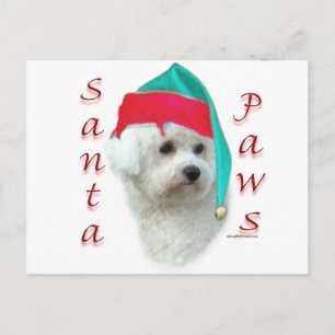 Cartão Postal De Festividades Bichon Frise Papais noeis Paws