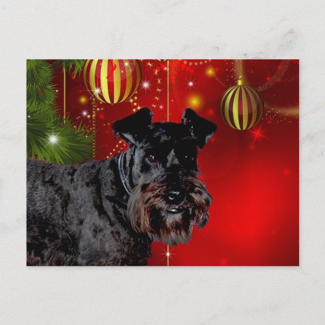 Cartão Postal De Festividades Black Schnauzer Natal (Frente)