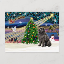 Cartão Postal De Festividades Bloco Magic-Newfie do Xmas