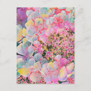 Cartão Postal De Festividades Blooming Summer Hydrangea Flower