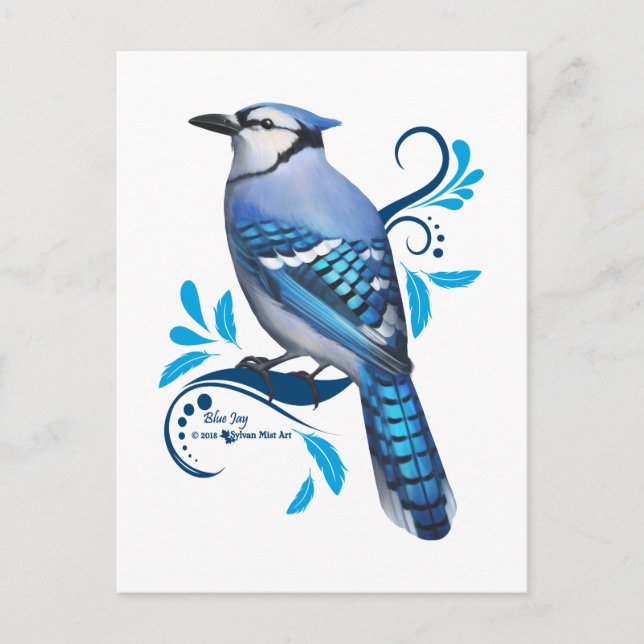 Cartão Postal De Festividades Blue Jay (Frente)