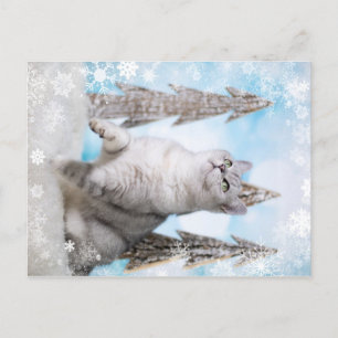 Cartão Postal De Festividades Blue XMAS 2018