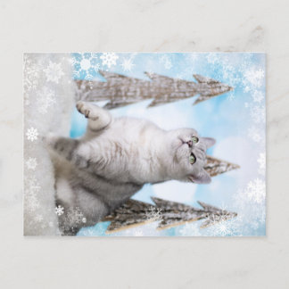 Cartão Postal De Festividades Blue XMAS 2018