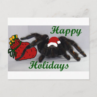 Cartão Postal De Festividades Boas festas! … com um Tarantula?