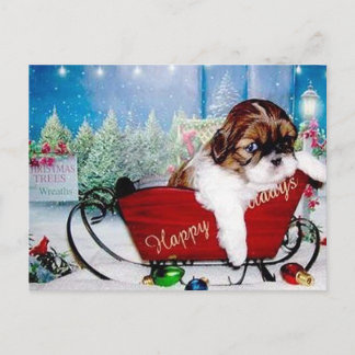 Cartão Postal De Festividades Boas festas Shih Tzu