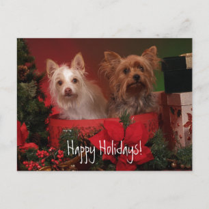 Cartão Postal De Festividades Boas Festas Yorkie e Amigos
