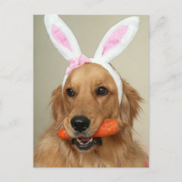 Cartão Postal De Festividades Bobo-Ouro-Retriever cão com orelhas de coelho da P