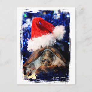Cartão Postal De Festividades Boca-tartaruga aberta santa que Natal pic